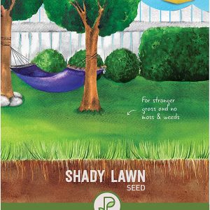 Shady Lawn Seed, Fast-Germinating Premium Lawn Seed, 80m?, 2kg